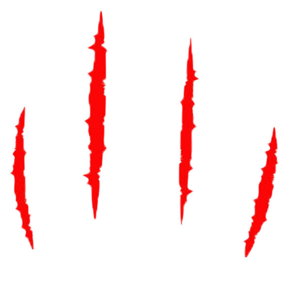 General Clothes example products